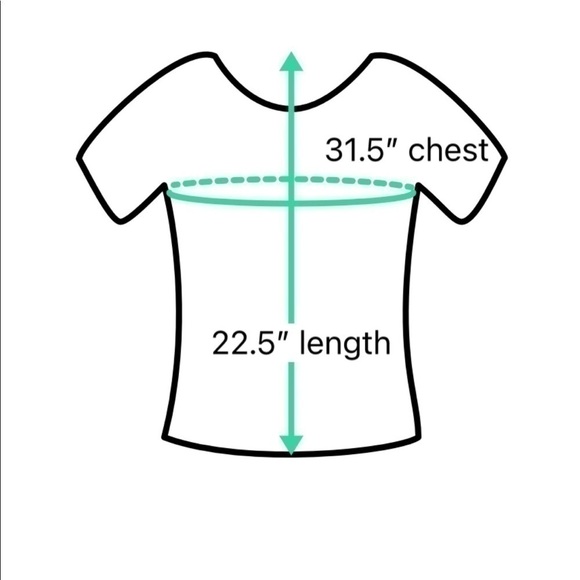 𝅺SEMI-SHEER blouse - Picture 3 of 3